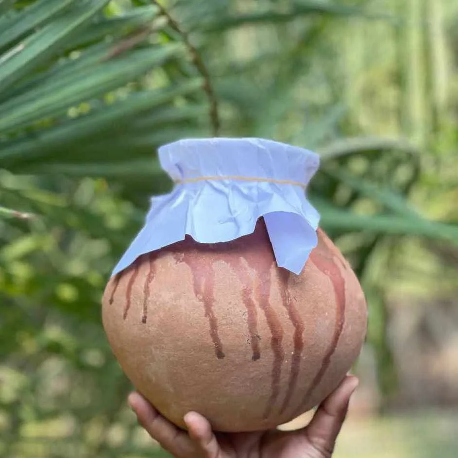 catagori hari